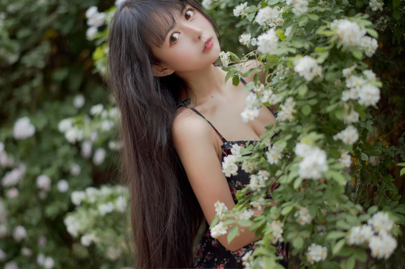 黑猫猫OvO – NO.22 蔷薇1 [22P]插图6